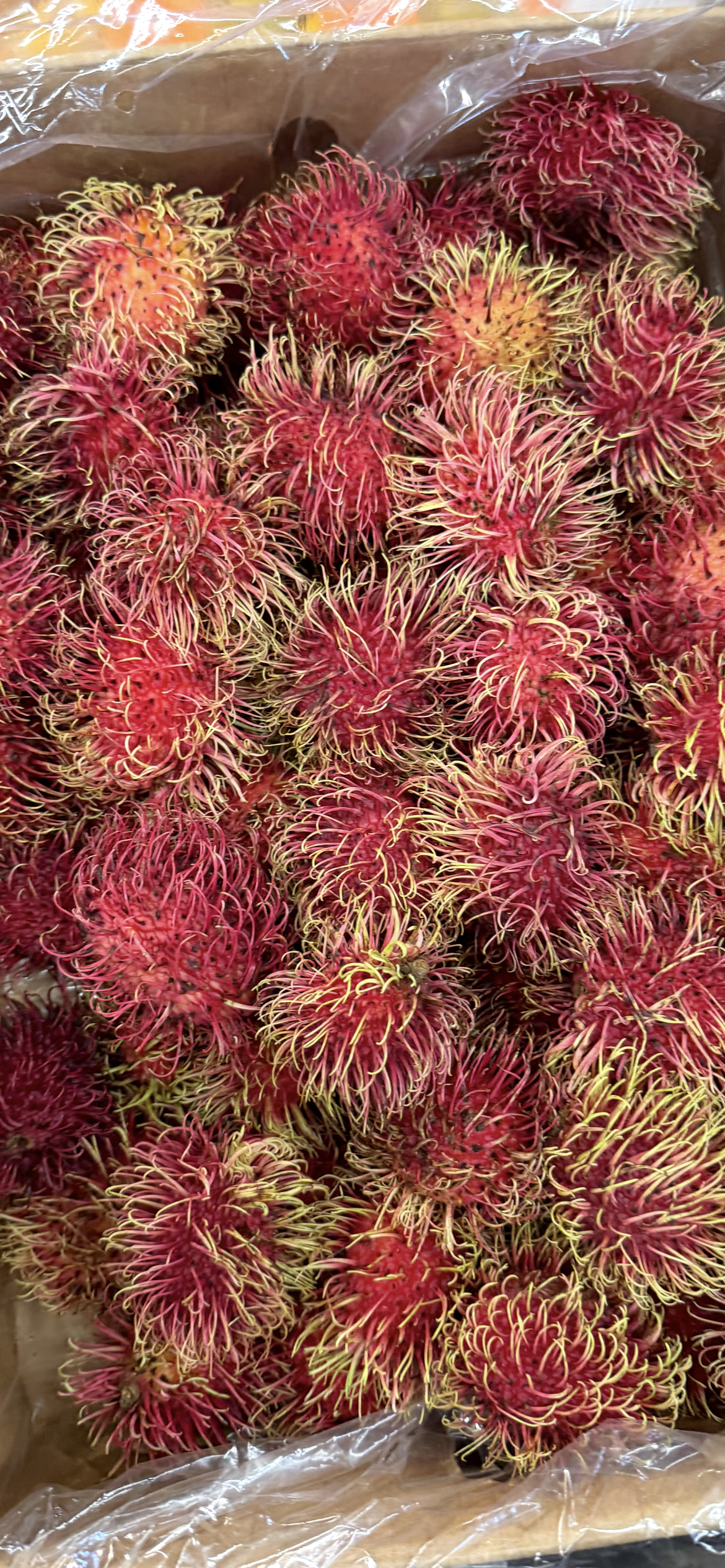 Fresh Rambutan – Exotic Asian Superfruit