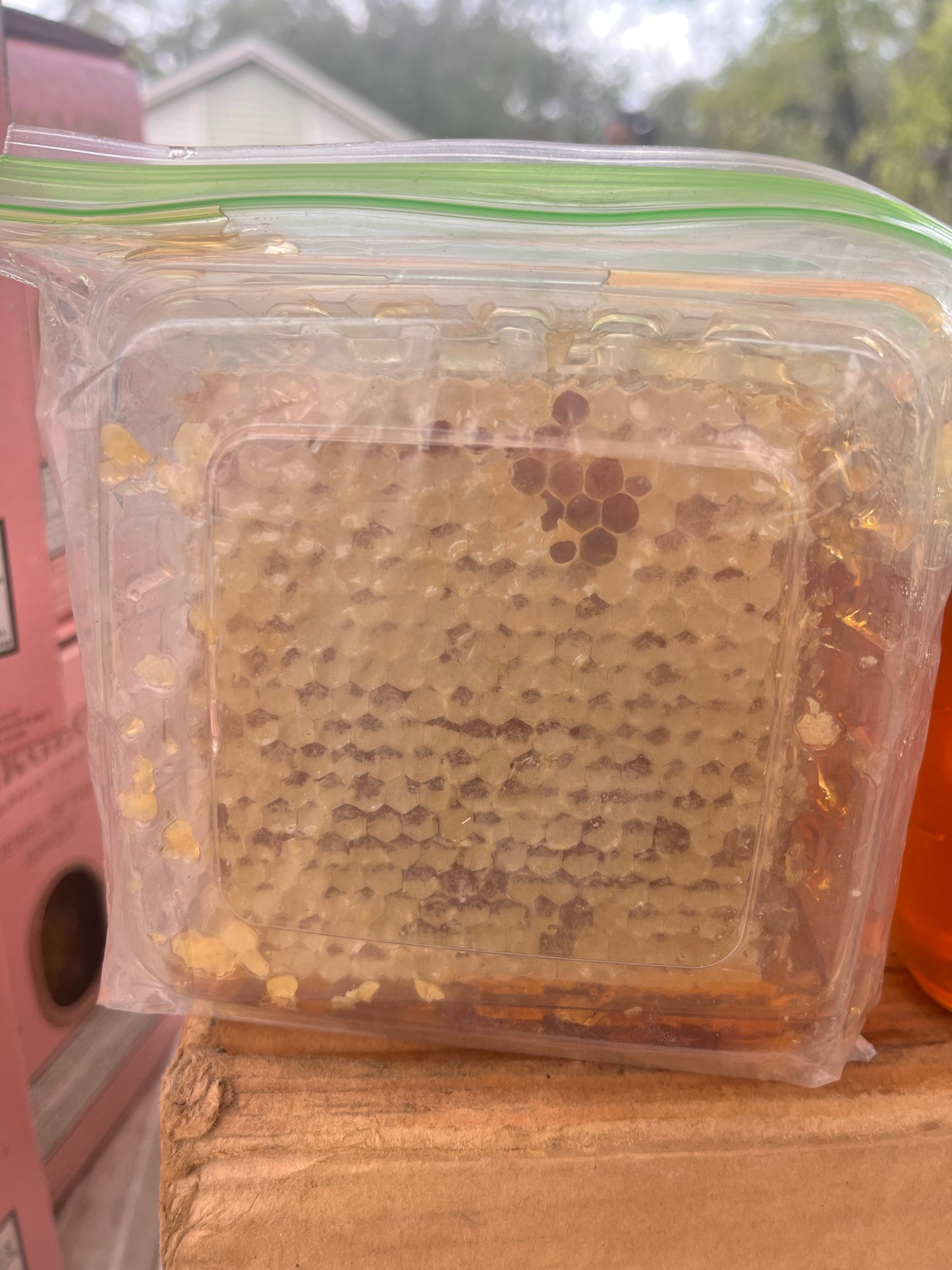 Pure Raw Honeycomb – Nature’s Sweet Superfood