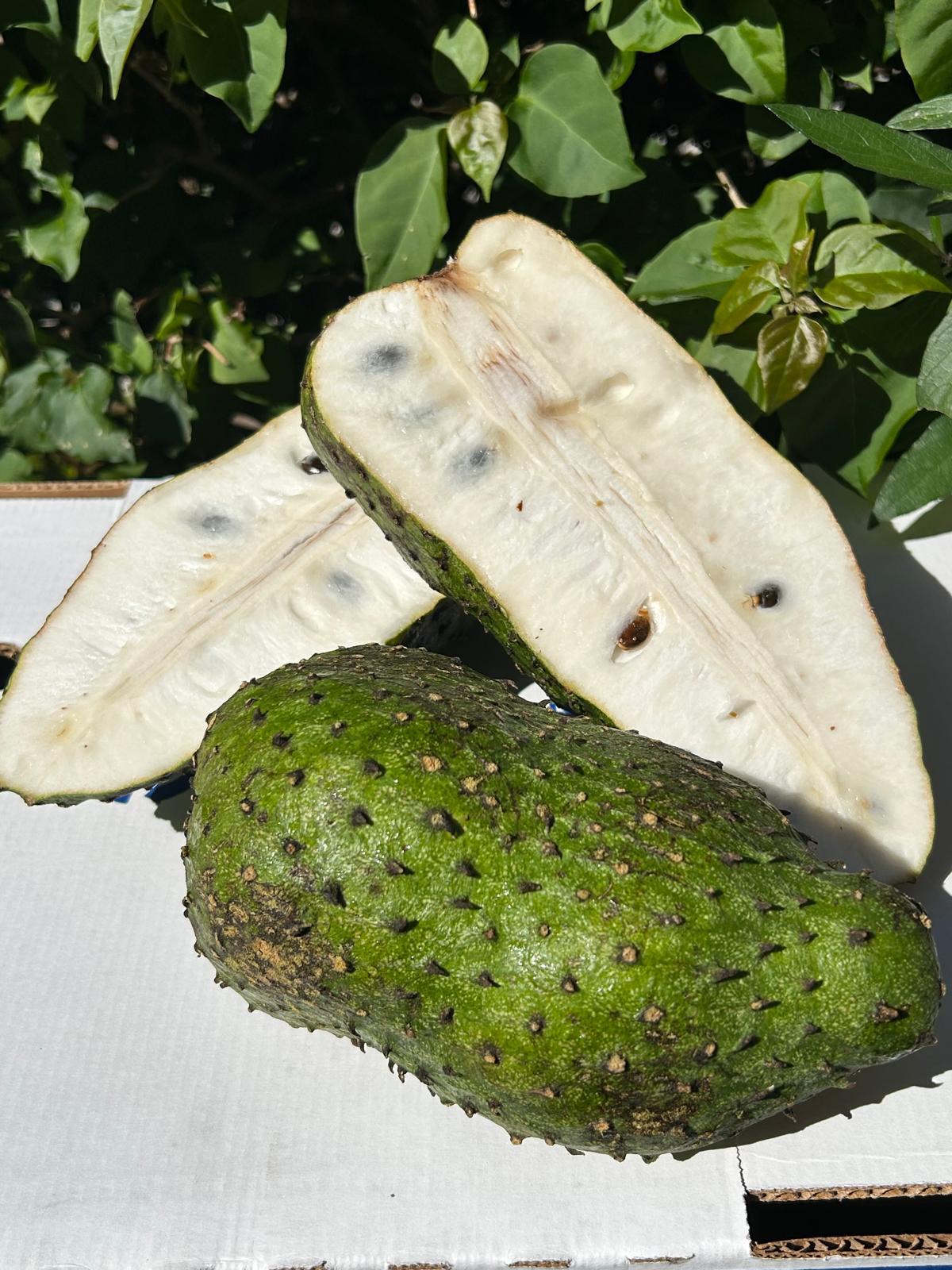 Whole Soursop Fruit