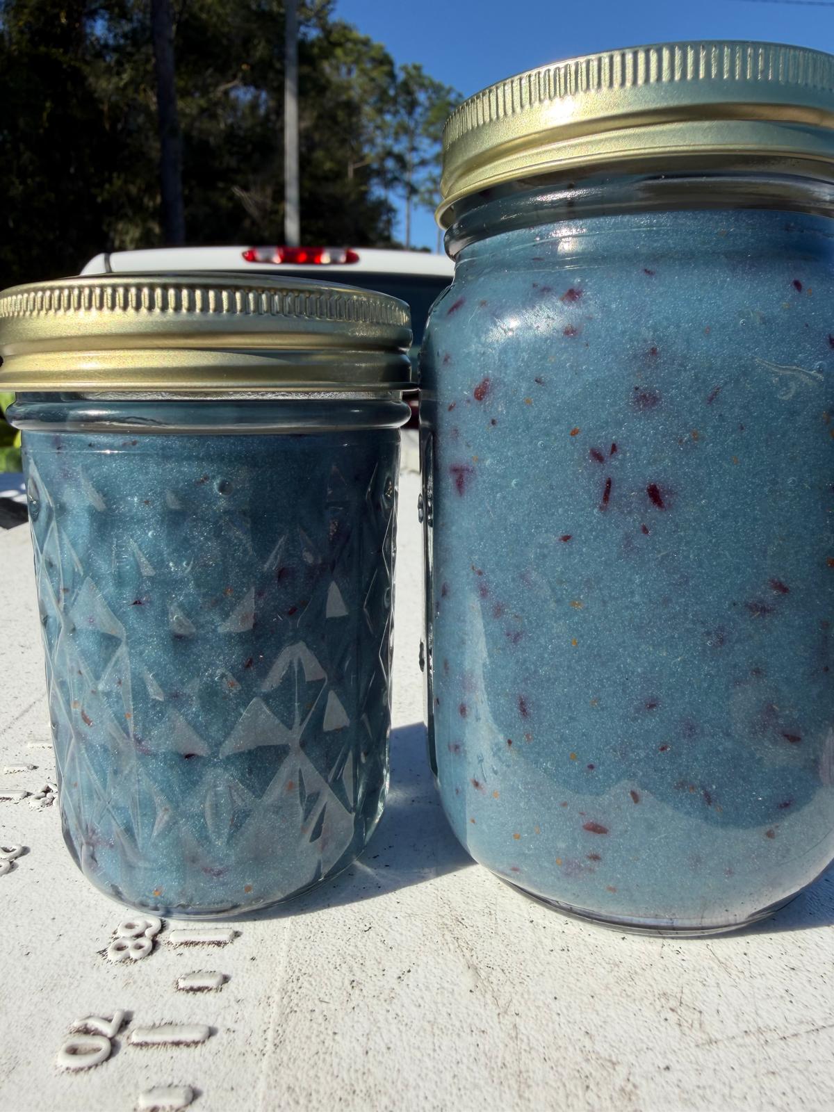 Blue Spirulina & Blueberry Sea Moss Gel