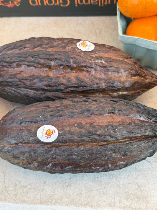 Whole Raw Cacao Pods