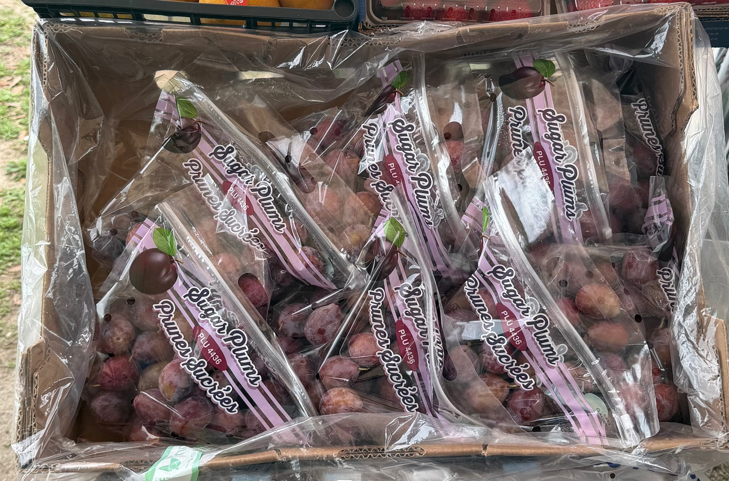 Juicy Sugar Plums – Sweet and Fresh (By the Pound)