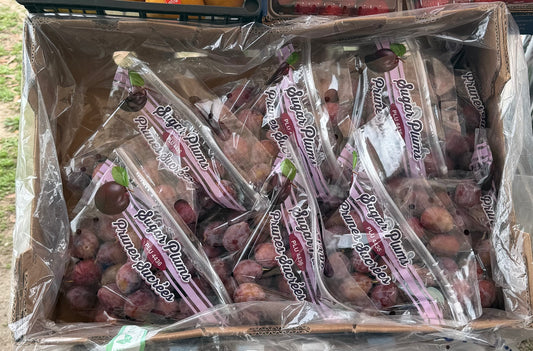 Juicy Sugar Plums – Sweet and Fresh (By the Pound)