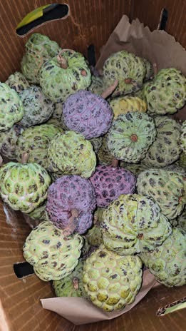 Sugar Apple aka Sweetsop (per lb)