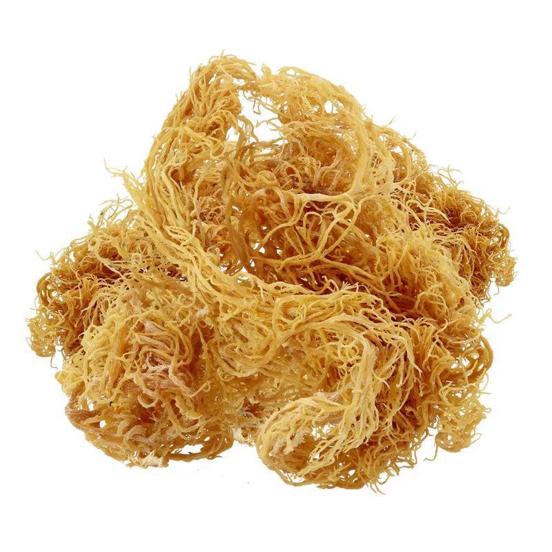 Wildcrafted St. Lucian Raw Gold Sea Moss