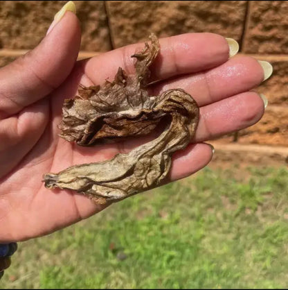 Duck Flower “Detox” (Dried)