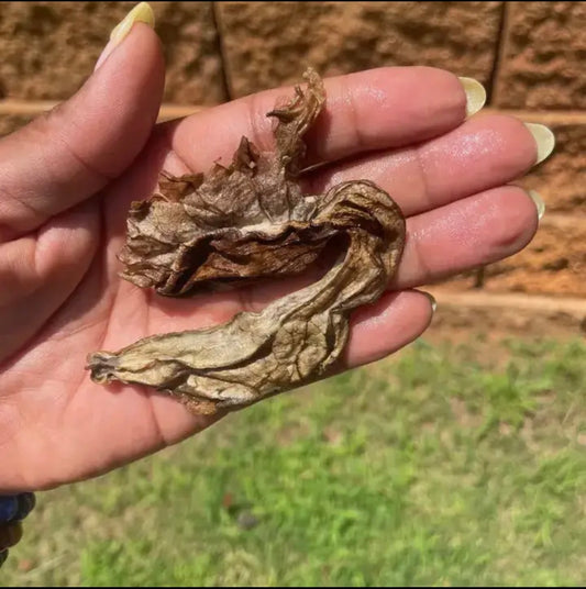 Duck Flower “Detox” (Dried)