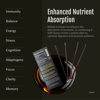 Lajit Gold Shilajit Infused Honey Sticks