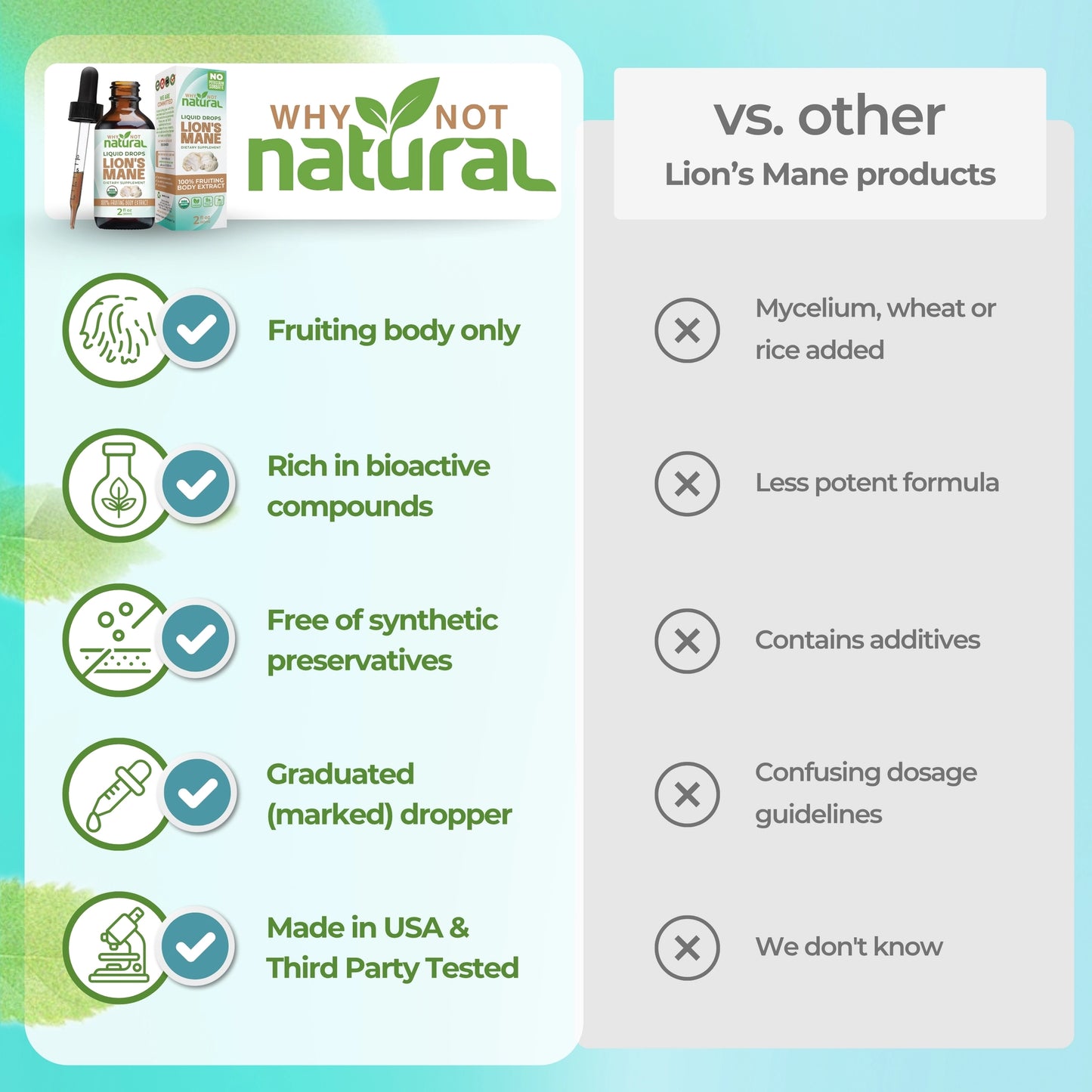 Lion's Mane Liquid Extract