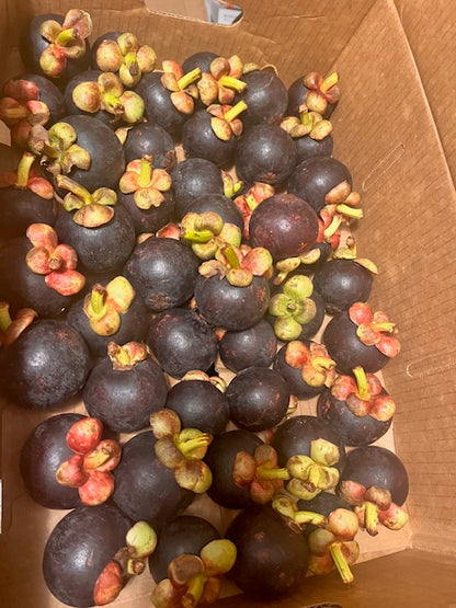 Mangosteens – The Superfruit for Health & Wellness