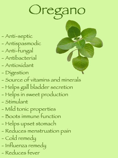 Organic Oil of Oregano Liquid Drops