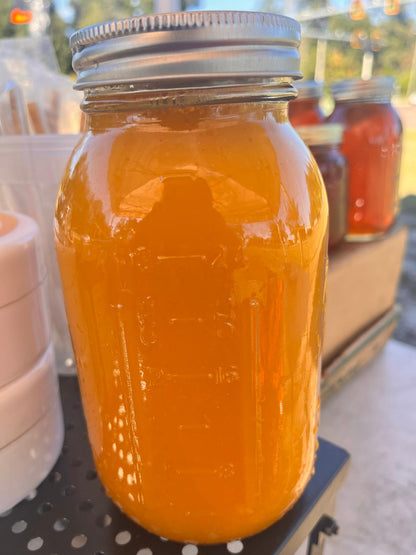 Turmeric & Ginger Wellness Juice + Elderberry Syrup Bundle