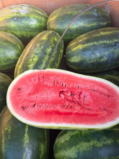 Seeded Watermelon Bundle